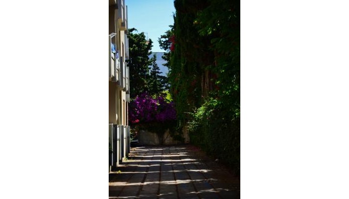 Hotel Residenza Gli Eucalipti poza 0