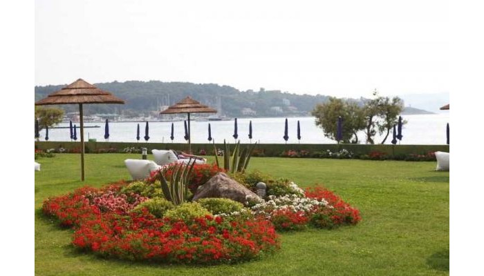 Villa Grachira poza 9