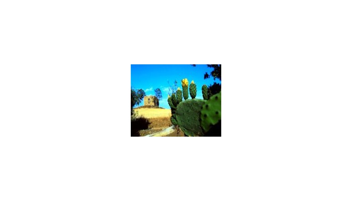 Hotel Carousel Sicily Tour poza 3