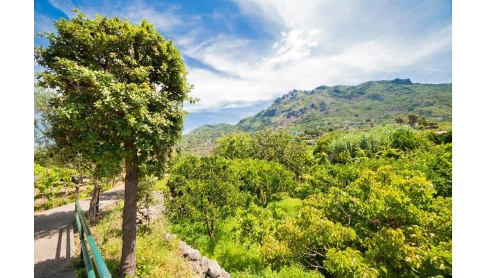 Hotel Mediterraneo poza 1